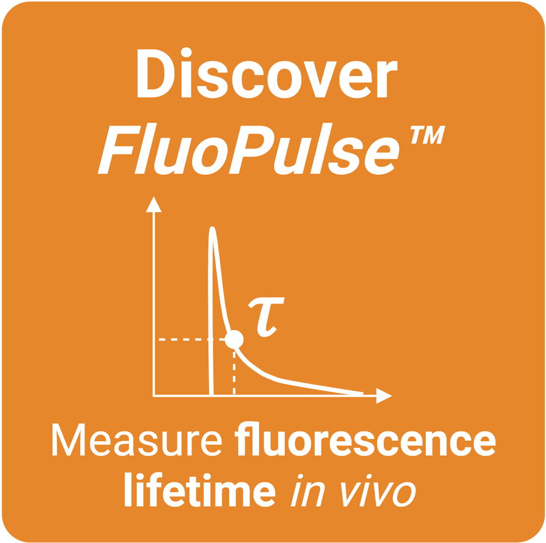 Lifetime Fiber Photometry