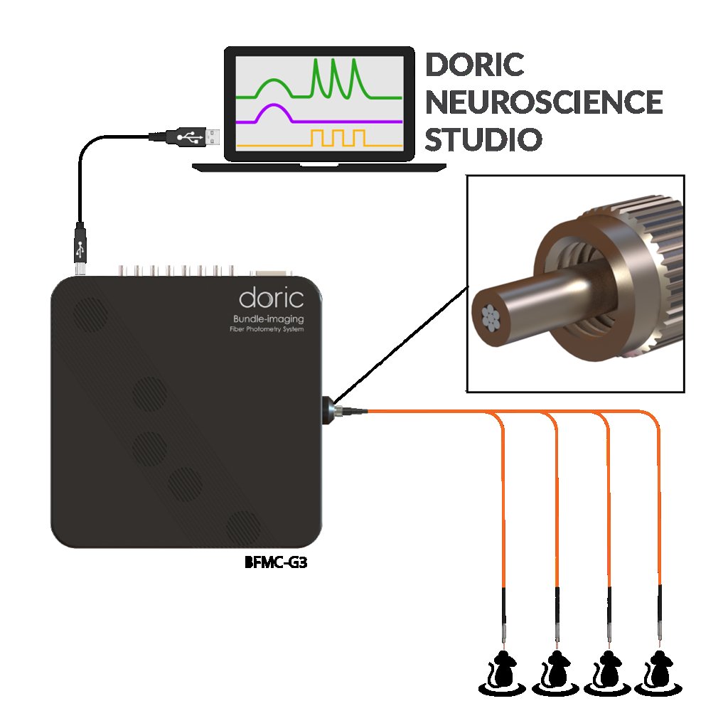 Bundle-imaging Fiber Photometry (BFMC, multi sites)