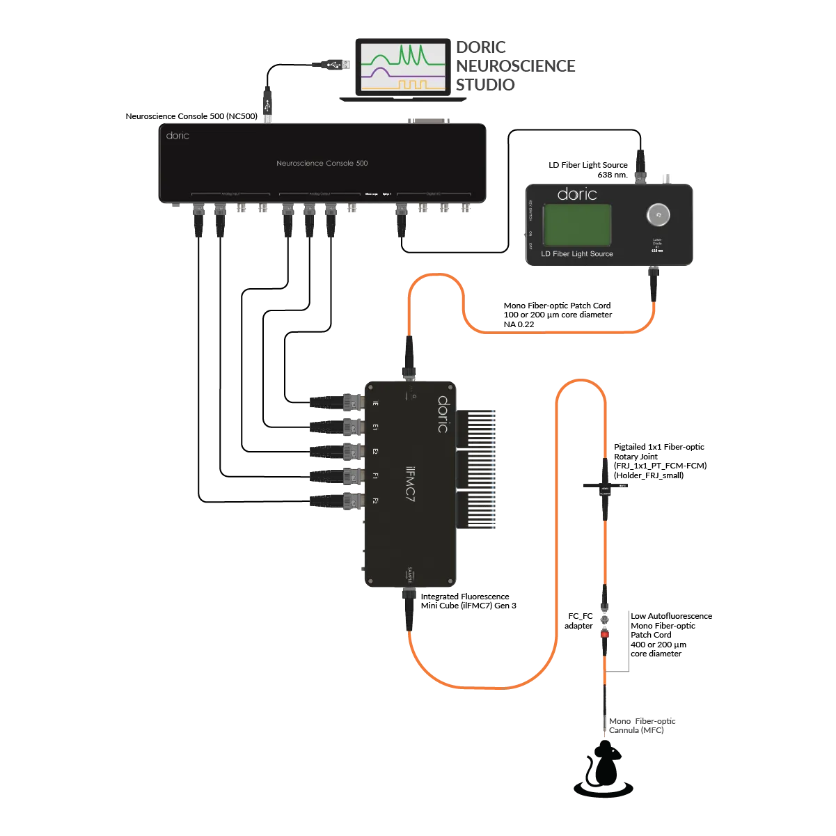 Basic Fiber Photometry System