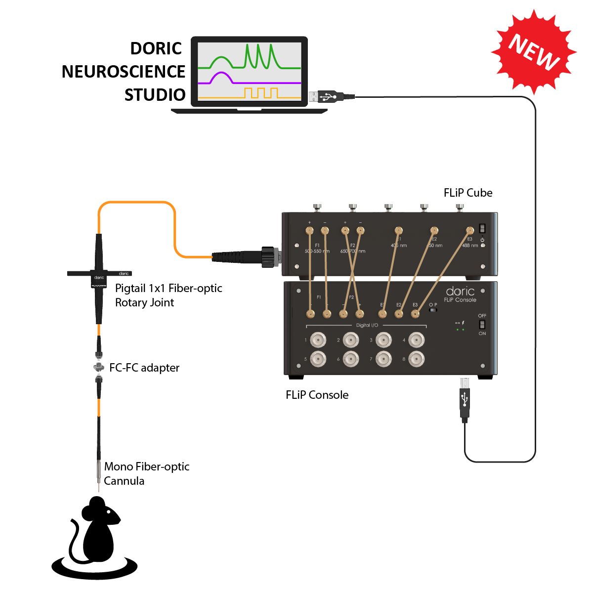 FluoPulse™ system
