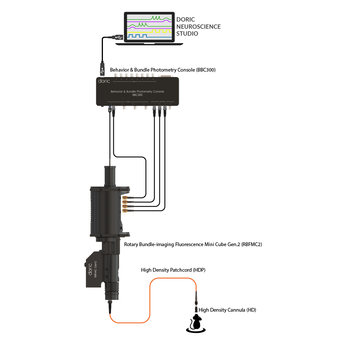Rotary Bundle-imaging Fluorescence Mini Cubes Gen.2 - System