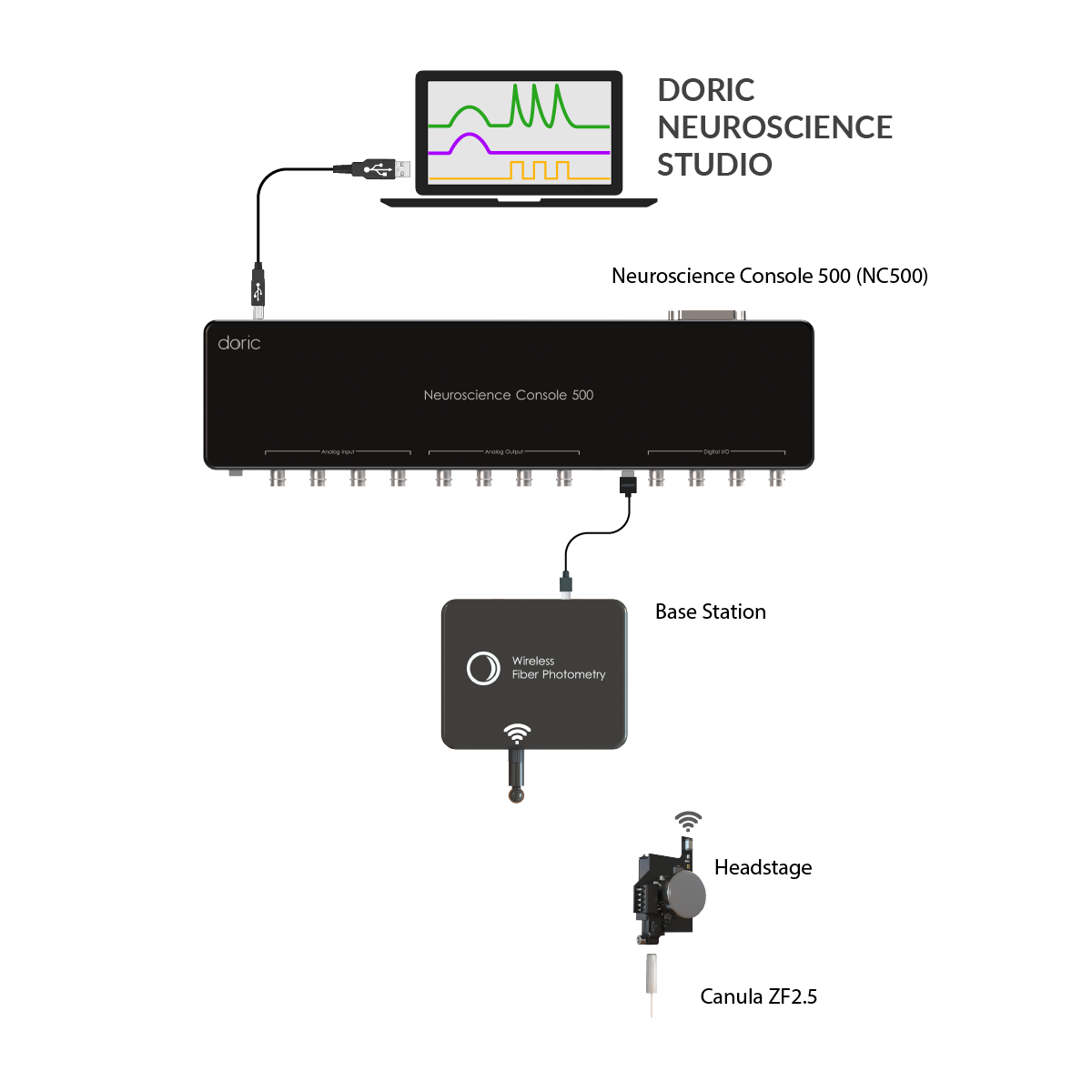 Wireless Fiber Photometry System