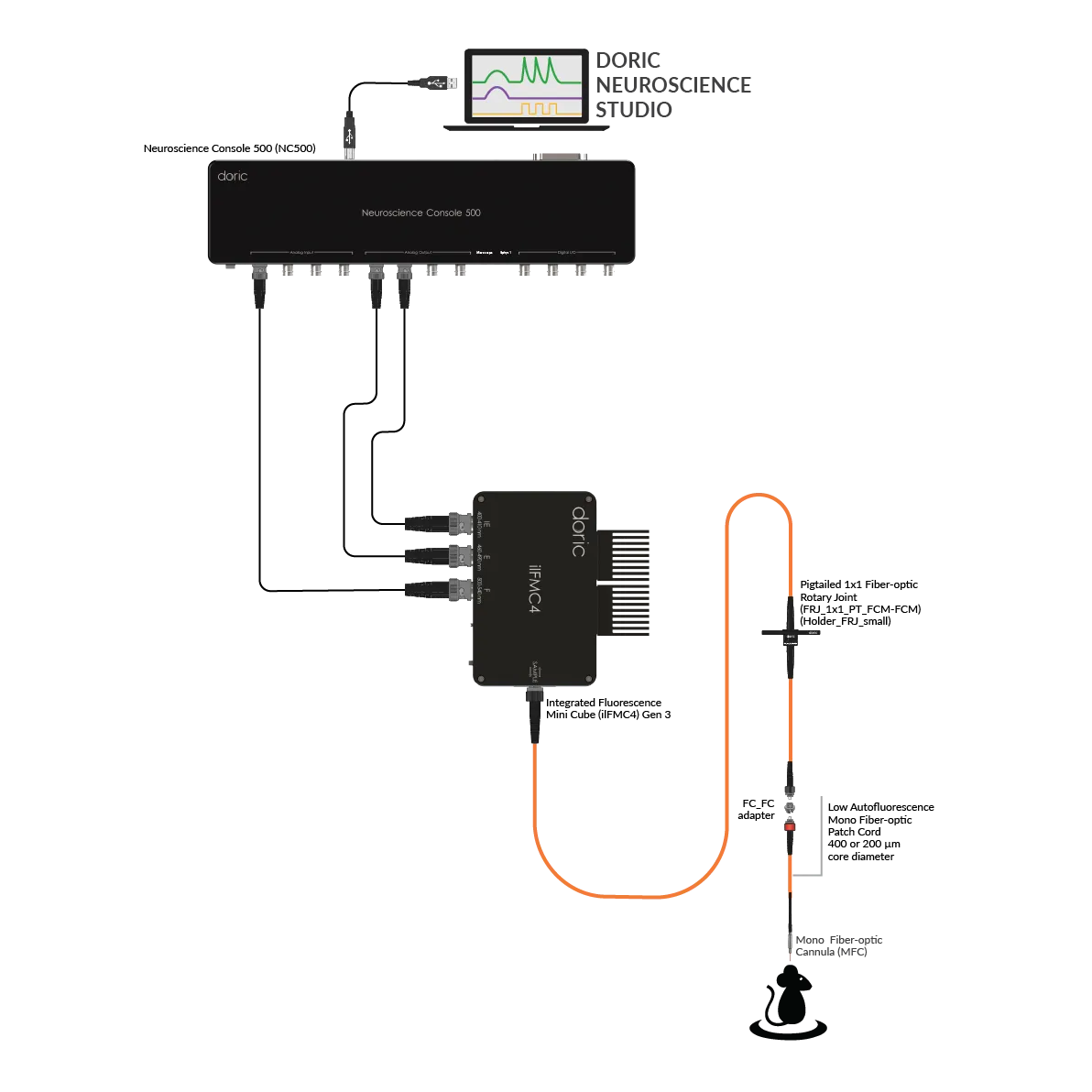 Basic Fiber Photometry System