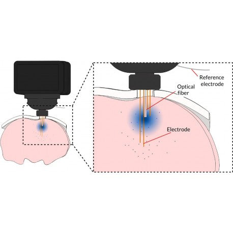Fiberless & Wireless (FiWi) Headstage